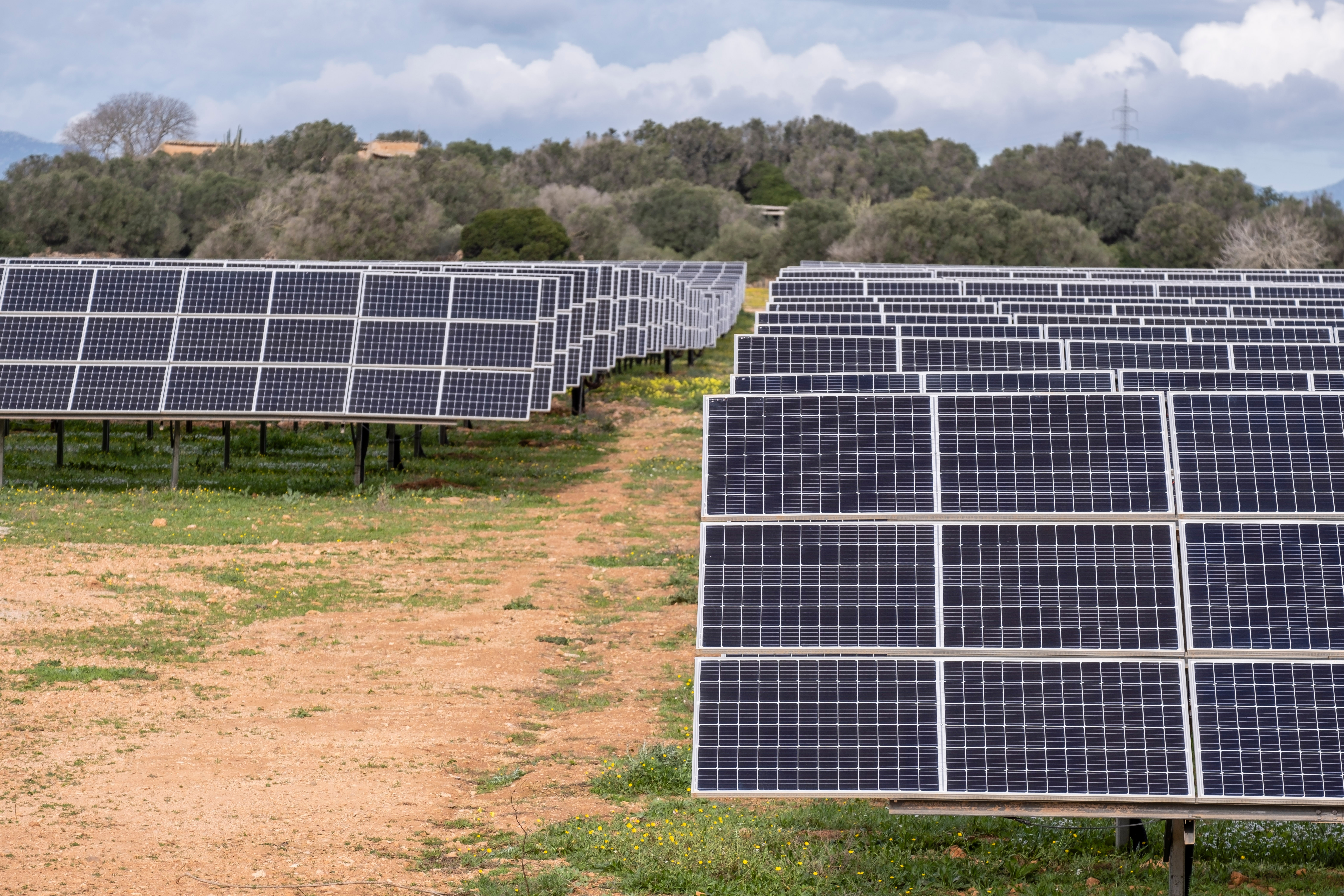 Cel mai mare parc fotovoltaic din Europa de Sud-Est, cel de la Rătești-Argeș, a fost inaugurat