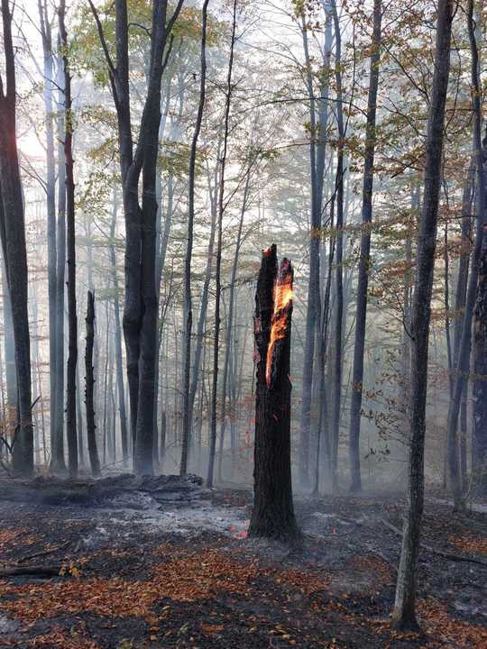 Incendiu Valea Doftanei