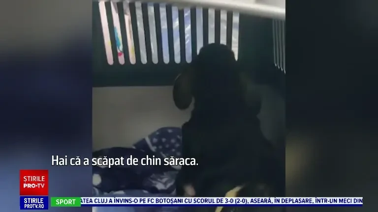 Târg caritabil la Iași. Sute de iubitori de animale au avut ocazia să facă o faptă bună. „Mi-am dorit foarte mult să ajut”