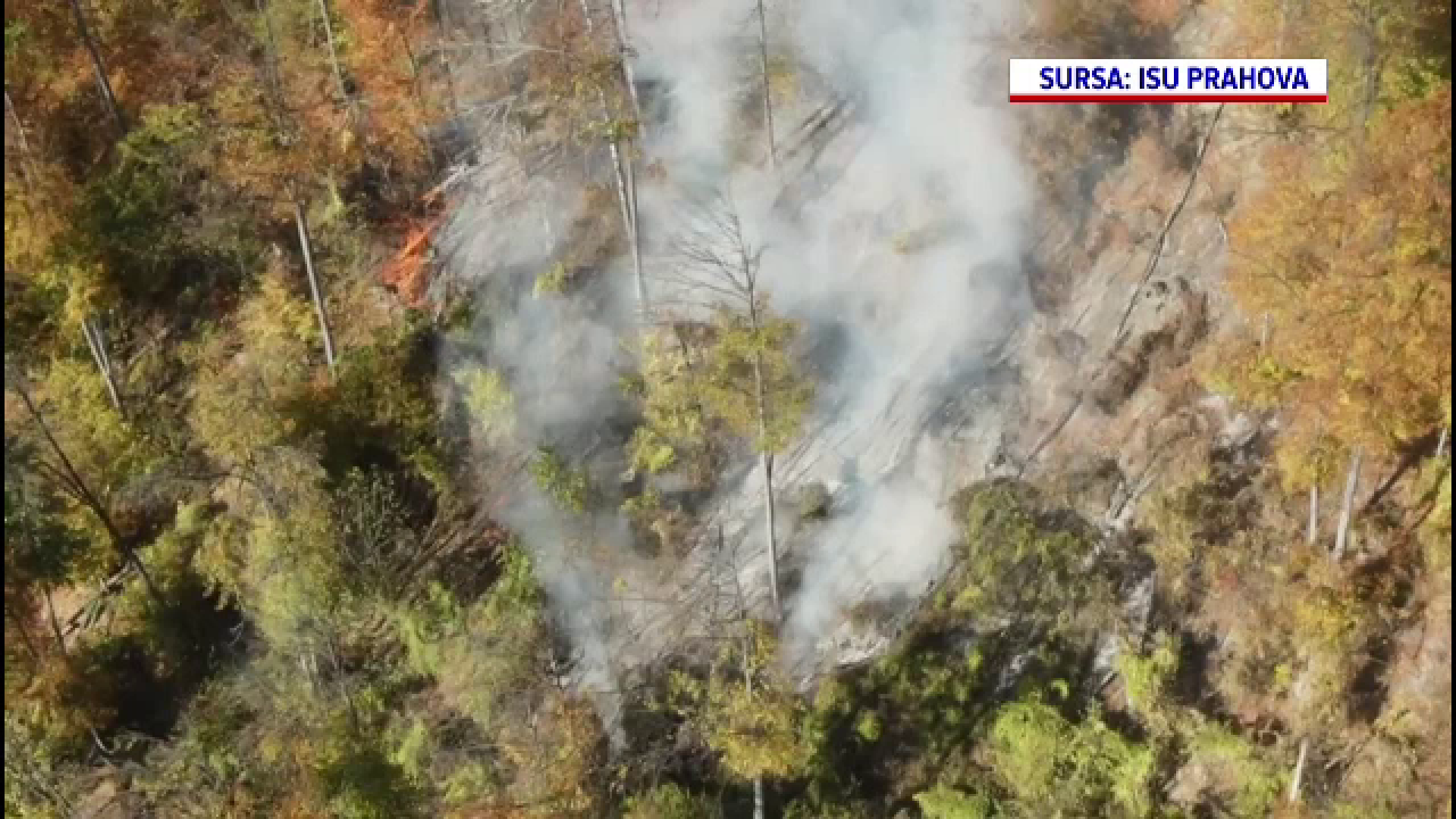 Hectare întregi de pădure au fost cuprinse de flăcări pe Valea Doftanei. Echipele de intervenție au ajuns cu greu la incendiu