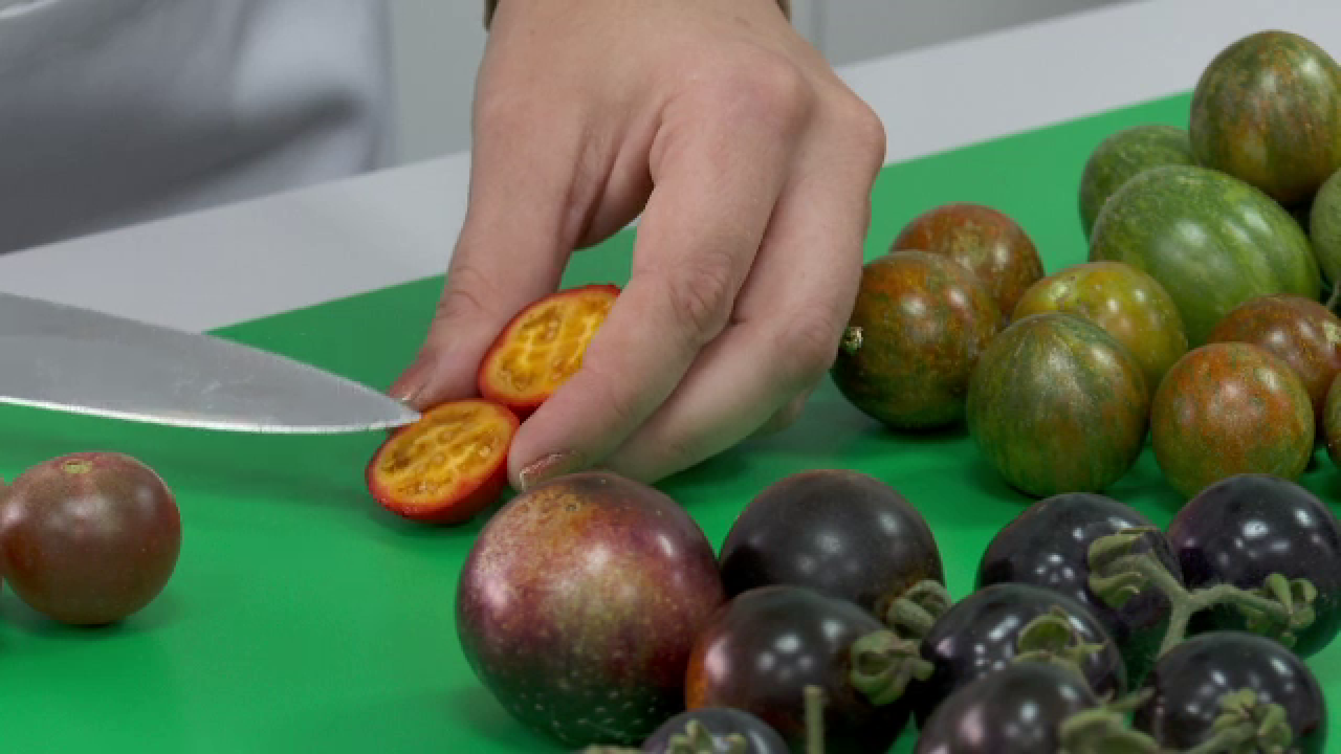 Roșii cu gust de zmeură sau fragi. Ce soiuri neobișnuite au reușit să aclimatizeze cercetătorii români