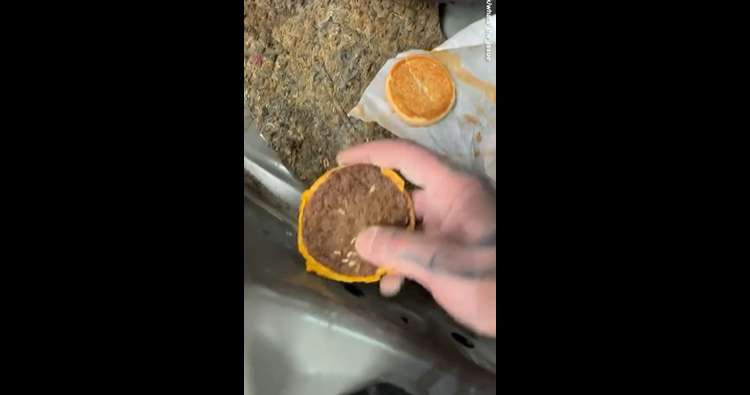 Cum arată un cheeseburger vechi de trei ani găsit de un bărbat în mașină. Ce s-a întâmplat când l-a lovit cu ciocanul. VIDEO