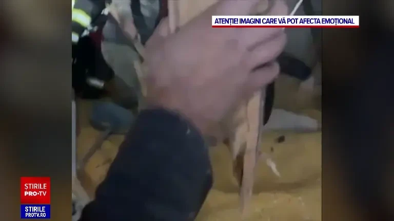 ANIMAȚIE GRAFICĂ | Cum s-a produs accidentul în care trei bărbați au murit striviți sub tavanul unei hale agricole, în Bacău
