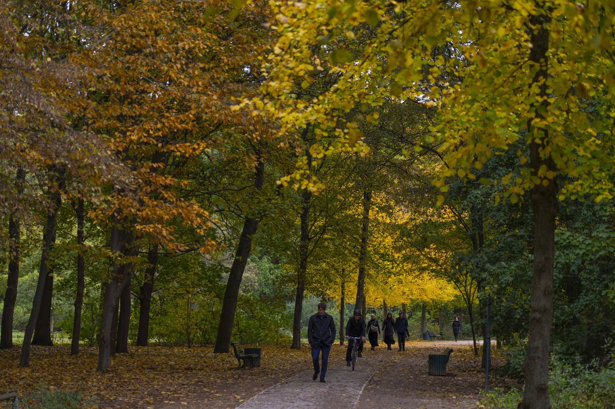 Prognoza meteo azi, 16 noiembrie. La altitudini mari ninge sau cade lapovița. Cum va fi vremea în weekend