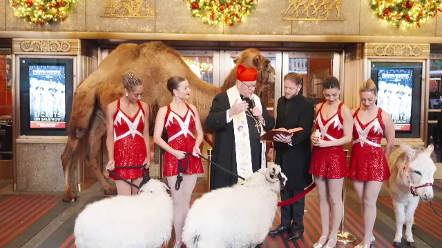 New York-ul se pregăteşte intens pentru sărbătorile de iarnă. Mai multe animale au fost sfințite în fața publicului