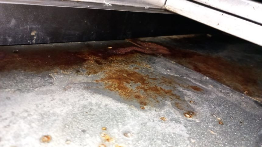 Peste 40 de operatori economici din Mall Băneasa, amendaţi de ANPC. Foloseau un culoar unde erau gândaci şi şoareci morţi