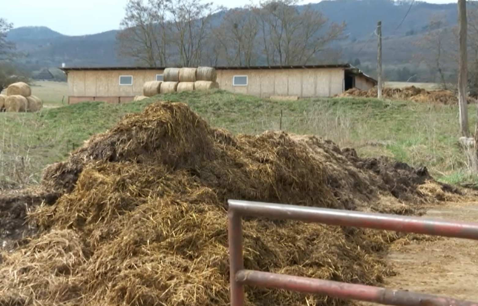 Sute de localități, fără apă potabilă din cauza gunoiului de grajd aruncat la întâmplare pe câmp. Soluțiile autorităților