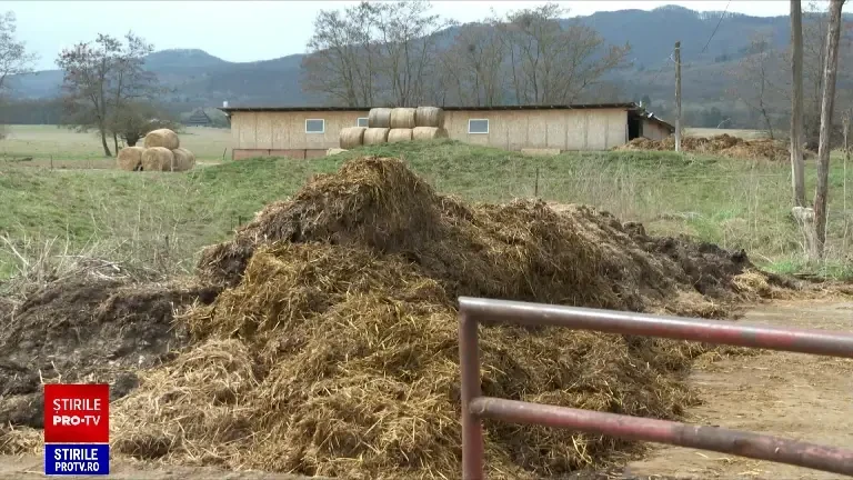 Sute de localități, fără apă potabilă din cauza gunoiului de grajd aruncat la întâmplare pe câmp. Soluțiile autorităților
