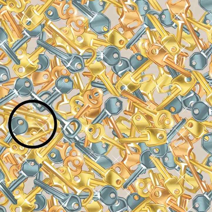 Iluzie optică pentru a testa inteligență: Doar 3% pot observa clopotul ascuns printre cheile din imagine în 11 secunde