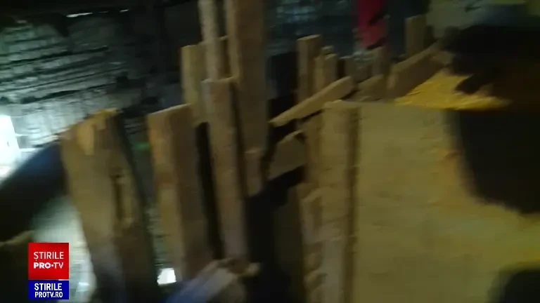 Crescătorii trebuie să aibă spații de dezinfectare la cocina porcilor, dacă vor să-i vândă. Ce mai prevede noua lege