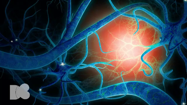 Dieta cu care poate fi ținută sub control epilepsia în cazul copiilor. "În anumite situații, reprezintă un tratament"