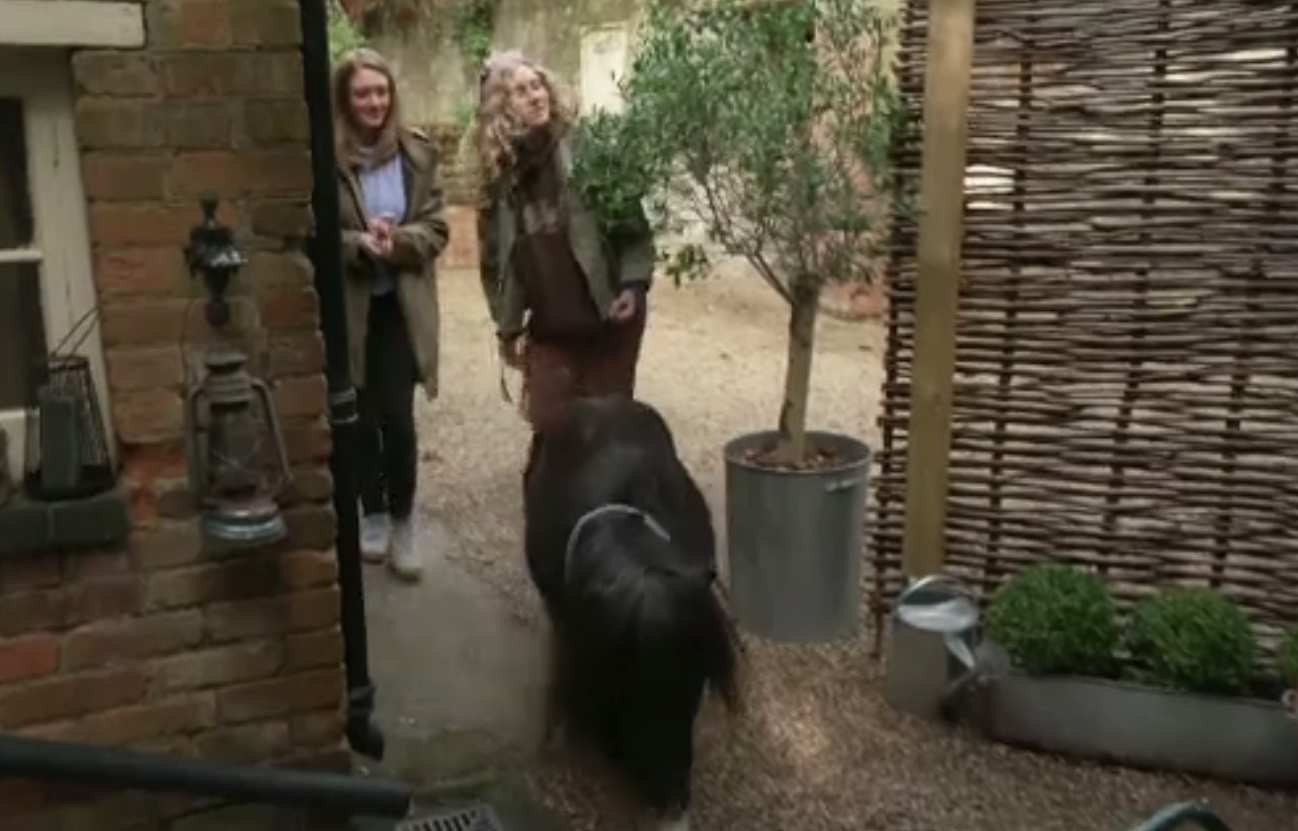 Ofertă inedită de cazare: 160 de euro pentru o cameră lângă grajdul poneiului. Culmea, sunt mai mereu doritori