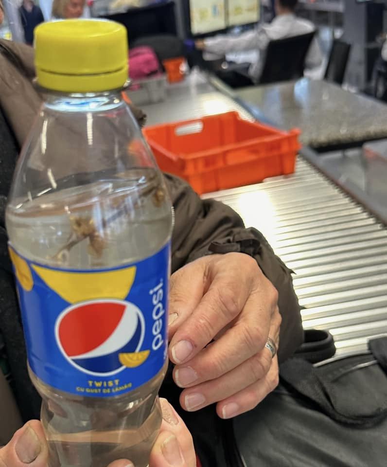 O femeie a trecut prin controlul de securitate de la Aeroportul Otopeni o sticlă cu agheasmă, alta un borcan cu murături