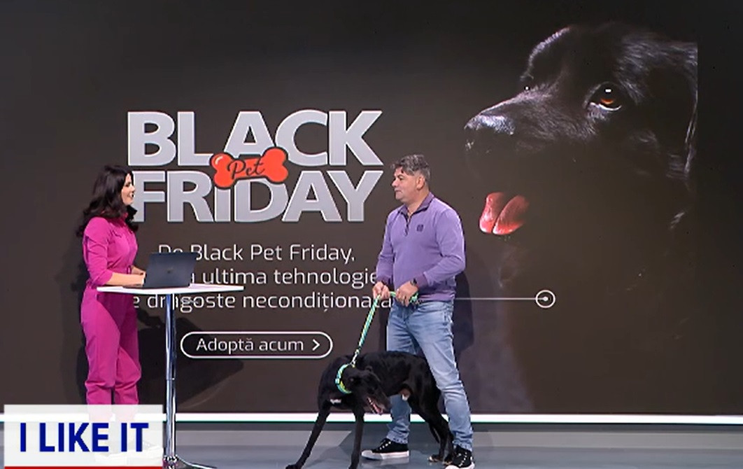 Black PET Friday, inițiativa online care ar trebui să ne motiveze să adoptăm animale de culoare neagră