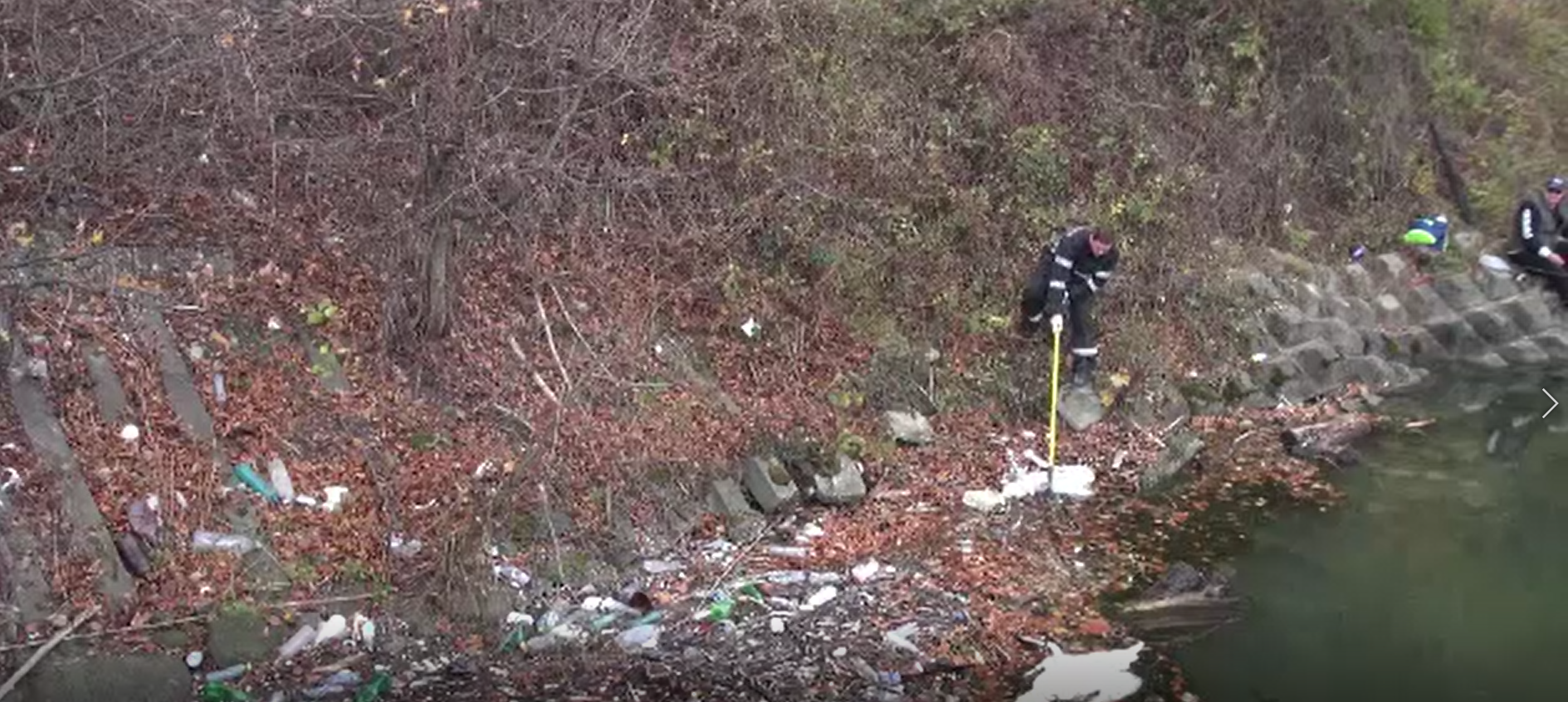 Alertă de gripă aviară în Neamț. Zeci de lebede au fost găsite moarte pe lacul Bâtca Doamnei