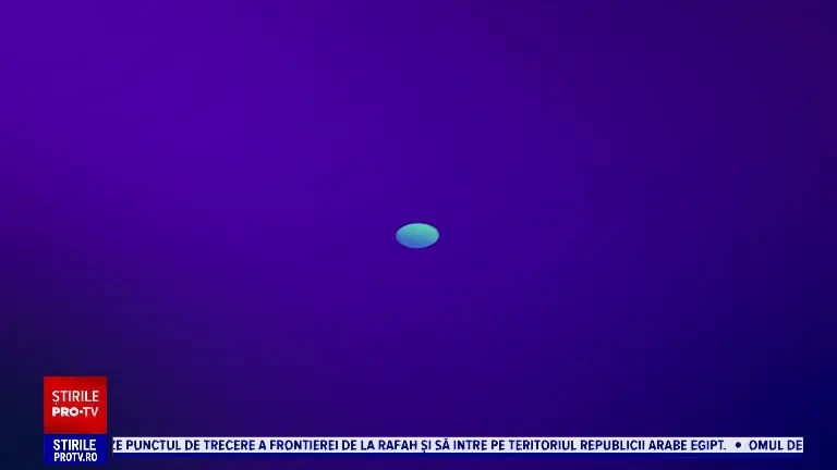 Black PET Friday, inițiativă online care ar trebui să ne motiveze să adoptăm animale de culoare neagră