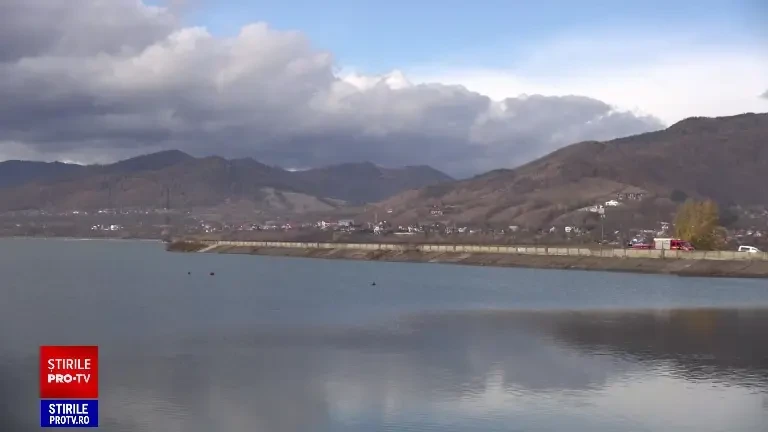 Alertă de gripă aviară în Neamț. Zeci de lebede au fost găsite moarte pe lacul Bâtca Doamnei