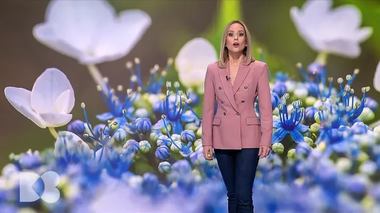 Hipertensiunea și diabetul au nevoie de diagnostic cât mai devreme. Distrug cel mai repede funcția renală