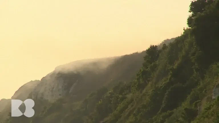 Importanța vitaminei D în corp. De ce este vitală când vine vorba de o infecție