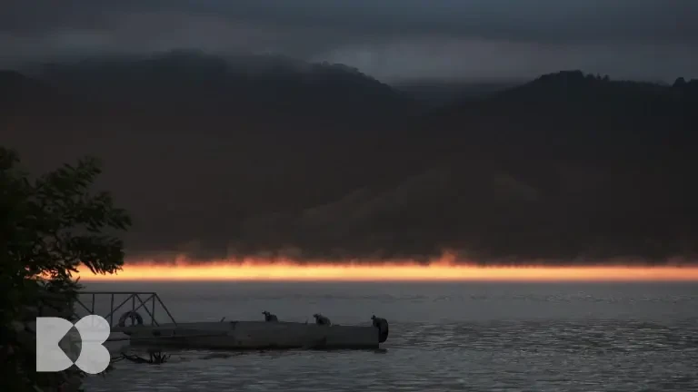 De ce nu este bine să mâncăm în fiecare zi, la micul dejun, mezeluri. Ce fac conservanții ajunși în intestin