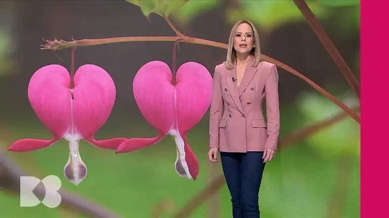 Mai puțin oxigen în două organe vitale înseamnă și hipertensiune. Aflăm legăturile, la „Doctor de Bine”