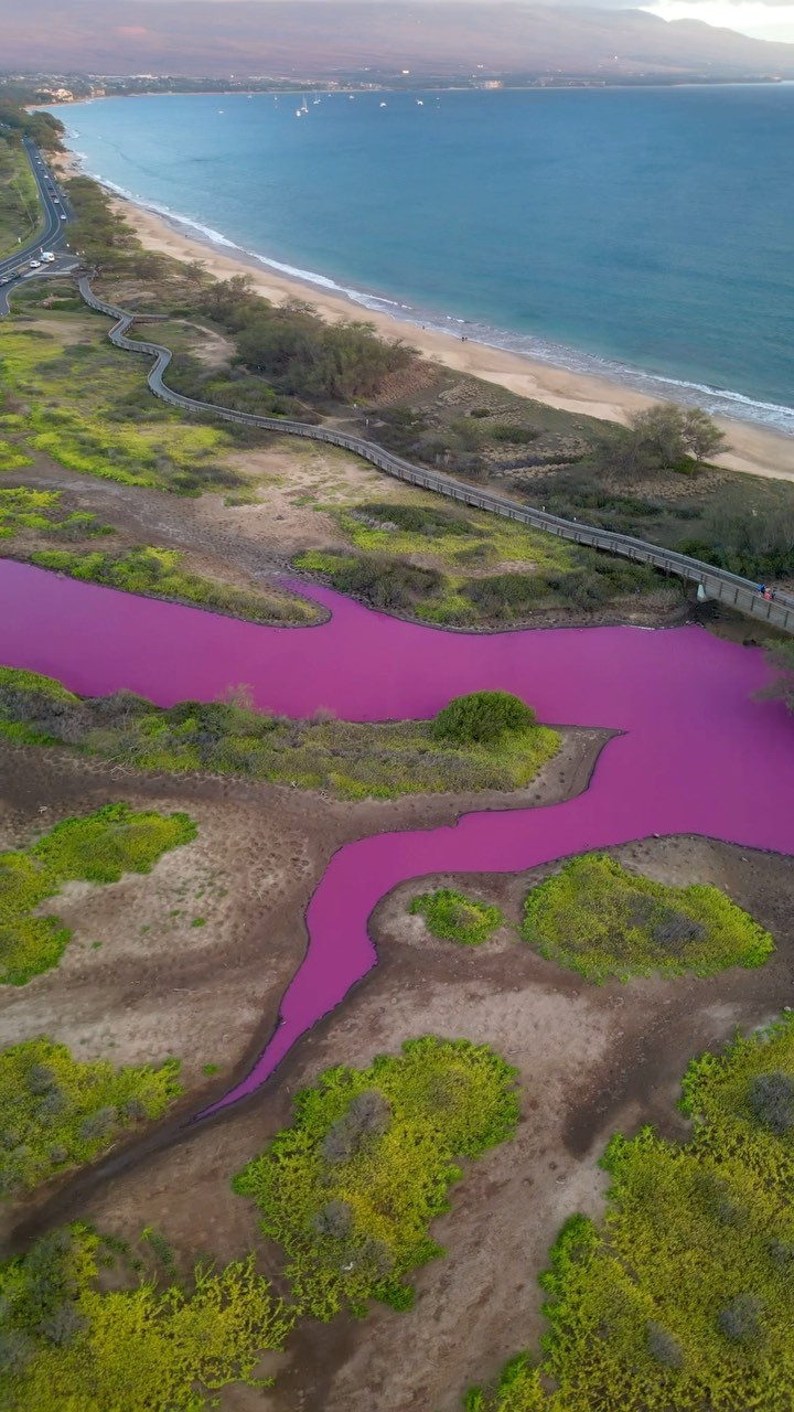 Motivul pentru care apa unui lac s-a colorat în magenta. Ce se află în spatele culorii aprinse | FOTO
