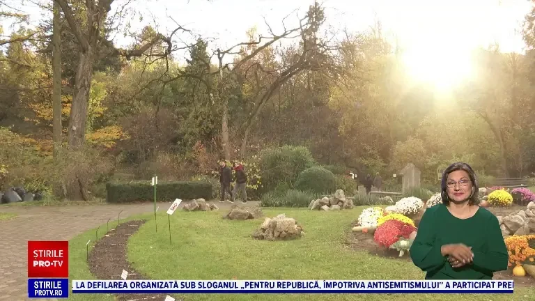 Locul perfect pentru relaxare. În sezonul rece, Grădina Botanică din Cluj este deschisă până la ora 17