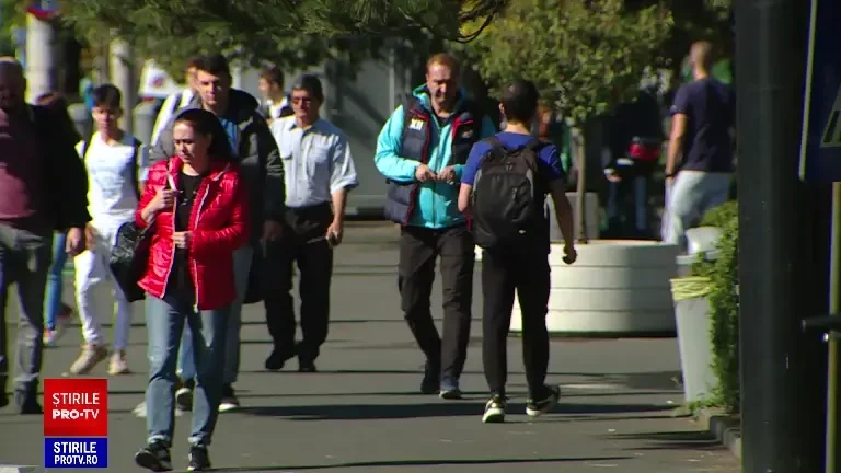 Angajații care câștigă mai bine decât IT-iștii. Domeniul în care salariul mediu este de peste 11.000 de lei