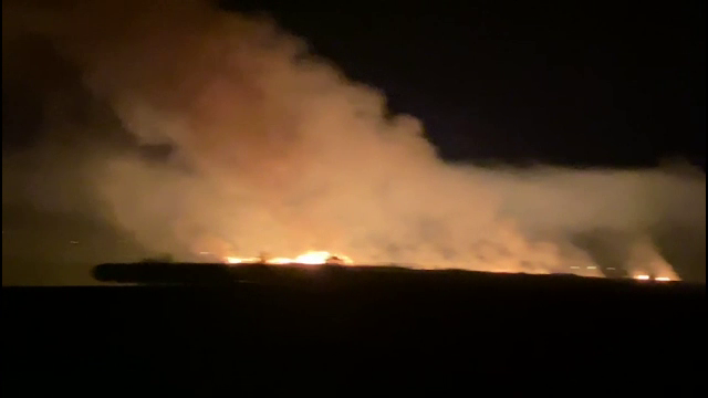 Incendiu de vegetație în Tulcea. Focul a cuprins aproape 10 hectare