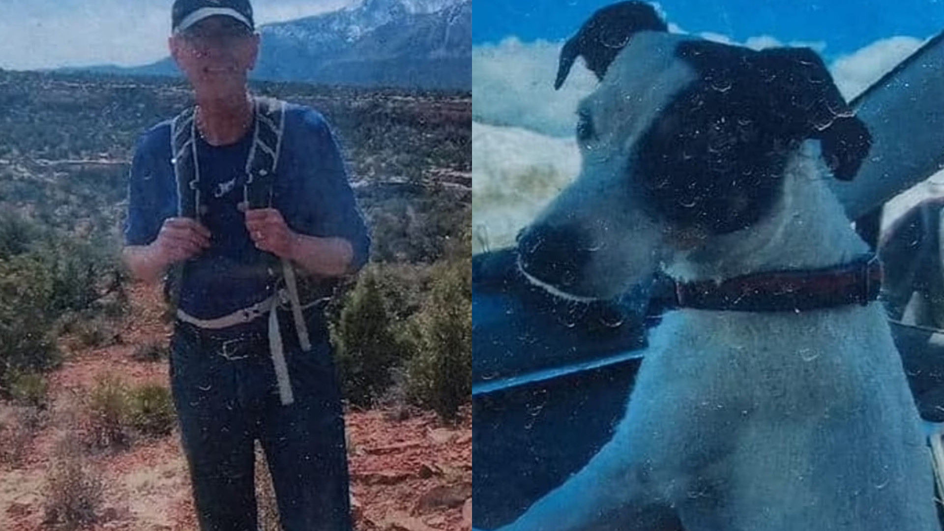 Un bărbat dispărut de trei luni după ce a plecat în drumeție, găsit mort pe munte. Câinele i-a rămas alături în acest timp