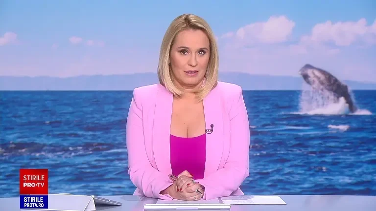 Cașaloții au acum un sanctuar. Unde se află rezervația care se întinde pe o suprafață de 800 de kilometri pătrați