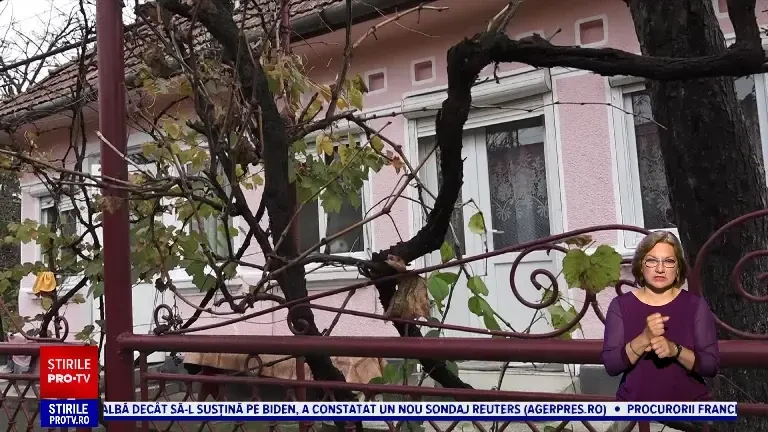 Doi tineri care au băgat spaima în locuitorii unei comune din Mureș, timp de 2 luni, au ajuns după gratii. Ce furau