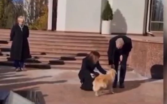 Momentul în care Codruț, câinele Maiei Sandu, îl mușcă pe președintele Austriei. Șeful de stat, fotografiat cu mâna bandajată
