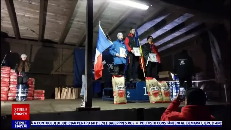 Aur, argint și bronz pentru România la Campionatul Mondial de atelaje trase de câini