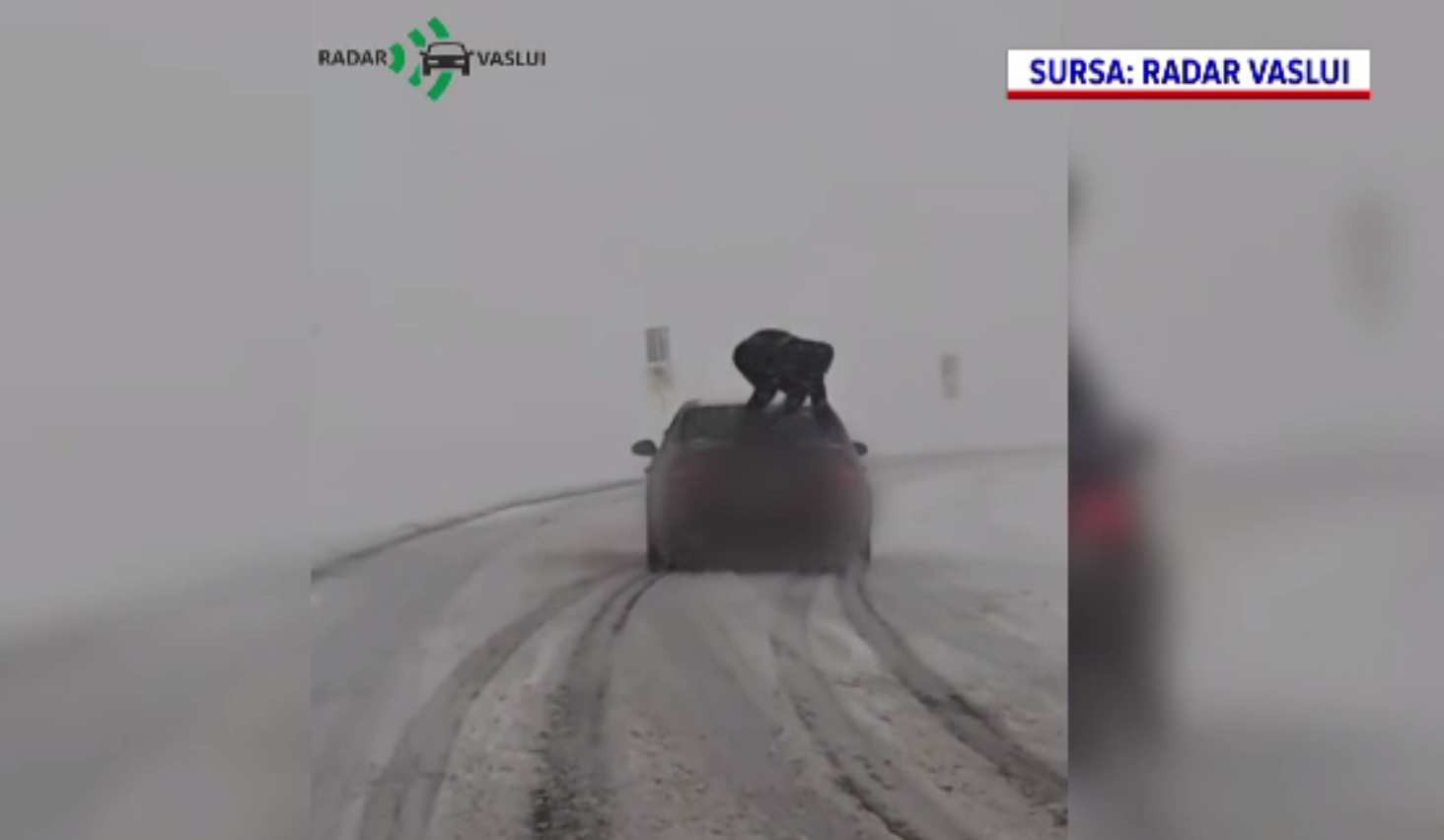 Motivul uluitor pentru care un vasluian s-a urcat pe mașina aflată în mers. Poliția a dat imediat amendă |VIDEO