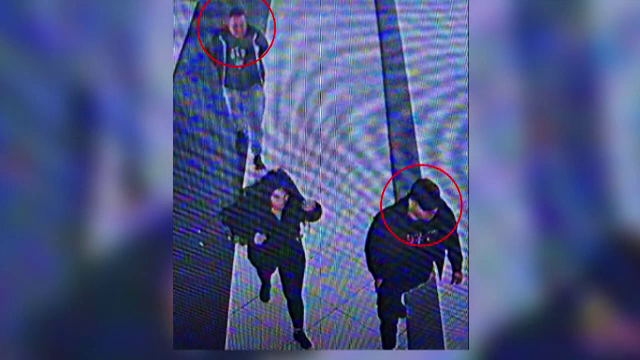 Fiica lui Adrian Kreiner s-a înarmat cu un briceag în timpul jafului. Ce i-au spus criminalii tatălui ei