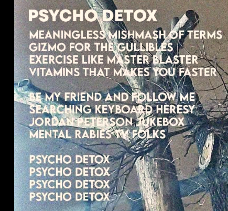 Formația de noise rock și industrial AIR LINES a lansat videoclipul ”Psycho detox”, extras de pe albumul de debut, ”Temples”