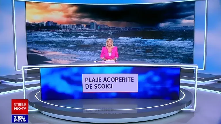 Plaja din Constanța, acoperită de scoici după furtuna violentă din weekend. De ce nu trebuie mâncate rapanele aduse la mal