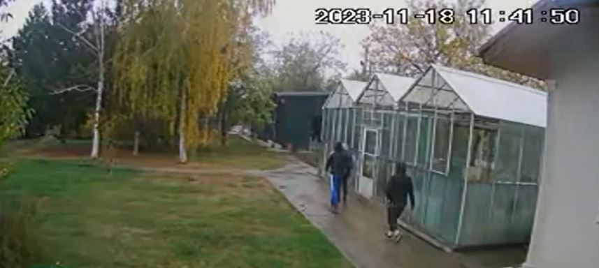 Val de spargeri din locuințe într-o localitate din Ilfov. Autoritățile sunt în alertă