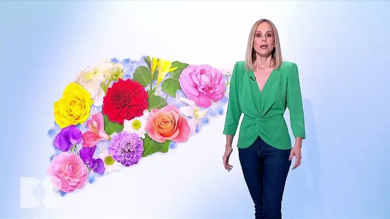 Supermolecula din organismul uman. Cum putem proteja ficatul, cea mai mare uzină din corp