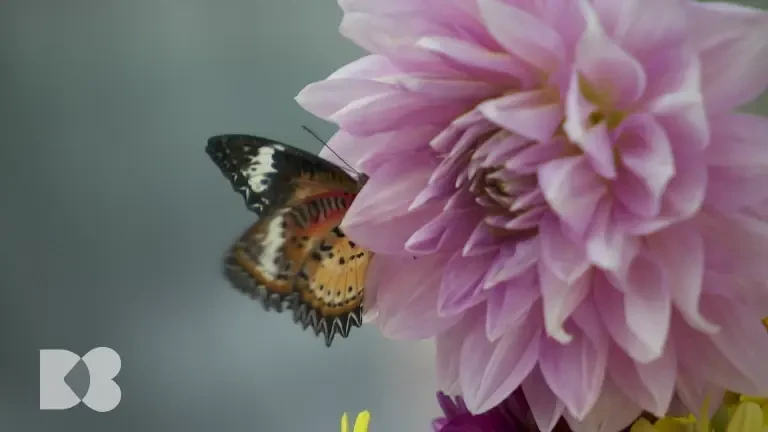 Cum poate energia solară să alimenteze, indirect, corpul uman. Explicațiile medicilor