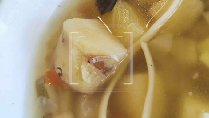 Sindicatul Europol, după scandalul privind toxiinfecția alimentară: Academia de Poliție se închide până la finalul anului