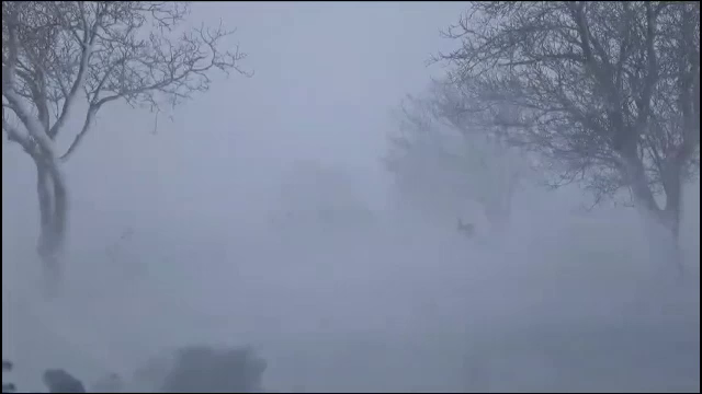 „S-a dezlănțuit iadul”. Unii dintre șoferii care au fost surprinși de viscol și-au părăsit mașinile în căutarea unui adăpost