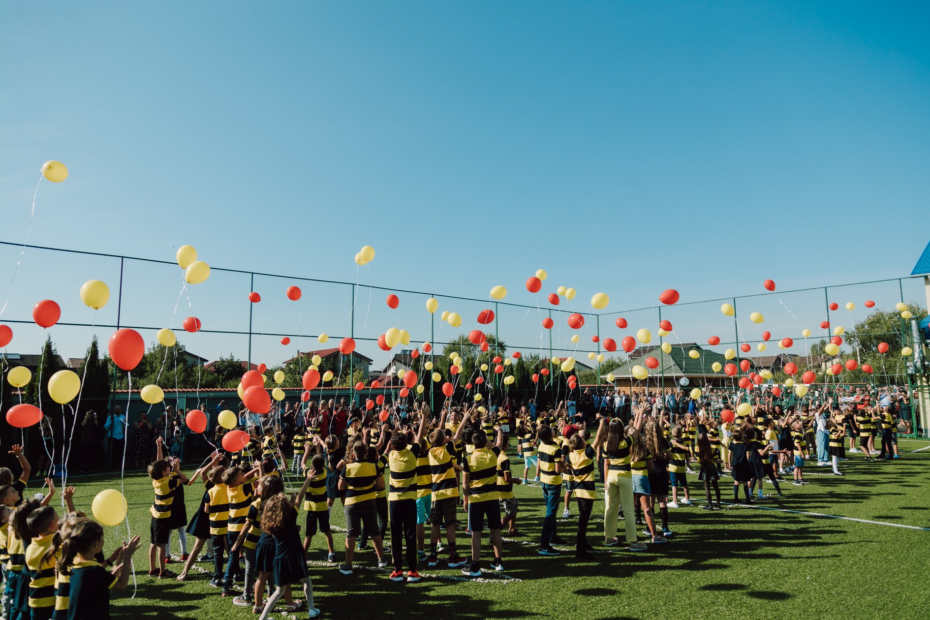 (P) Pro Ingenio - Unde Viitorul începe cu Educație de Calitate