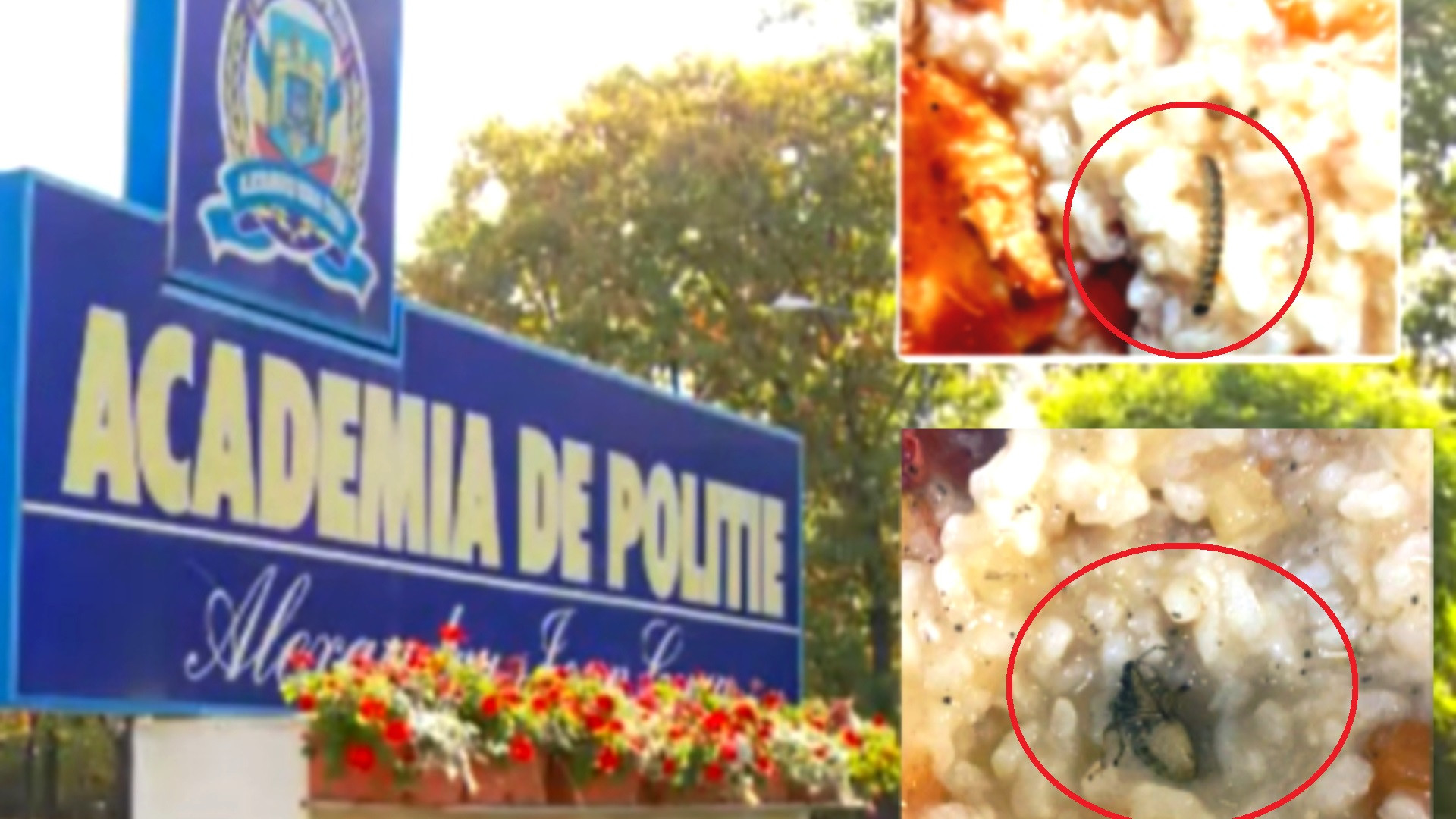 Controalele de la Academia de Poliție constată „lipsa de interes” din partea conducerii. Șapte angajați, cercetați