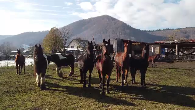 Cele mai spectaculoase zone rurale din România pe care merită să le vizitezi. Cât costă o noapte de cazare