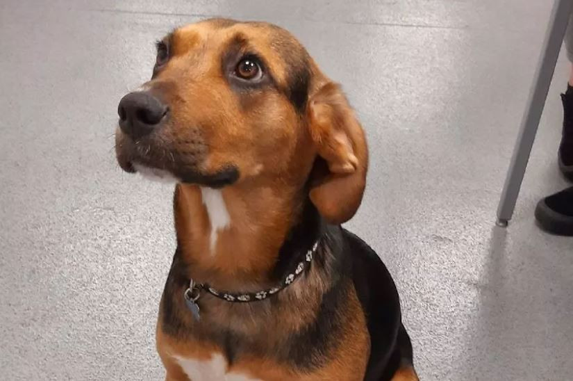 National Crime Agency UK