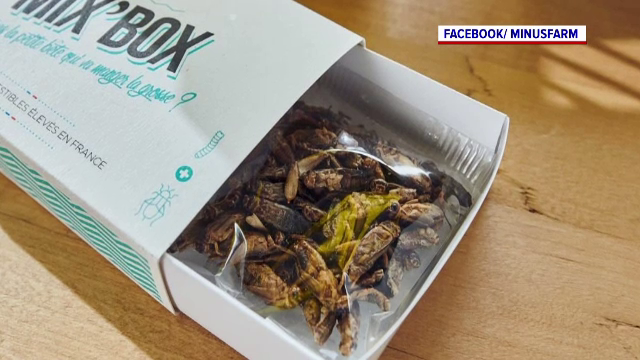 Cum deosebești mâncarea făcută din insecte. Produsele vor fi plasate pe rafturi separate, bine semnalizate