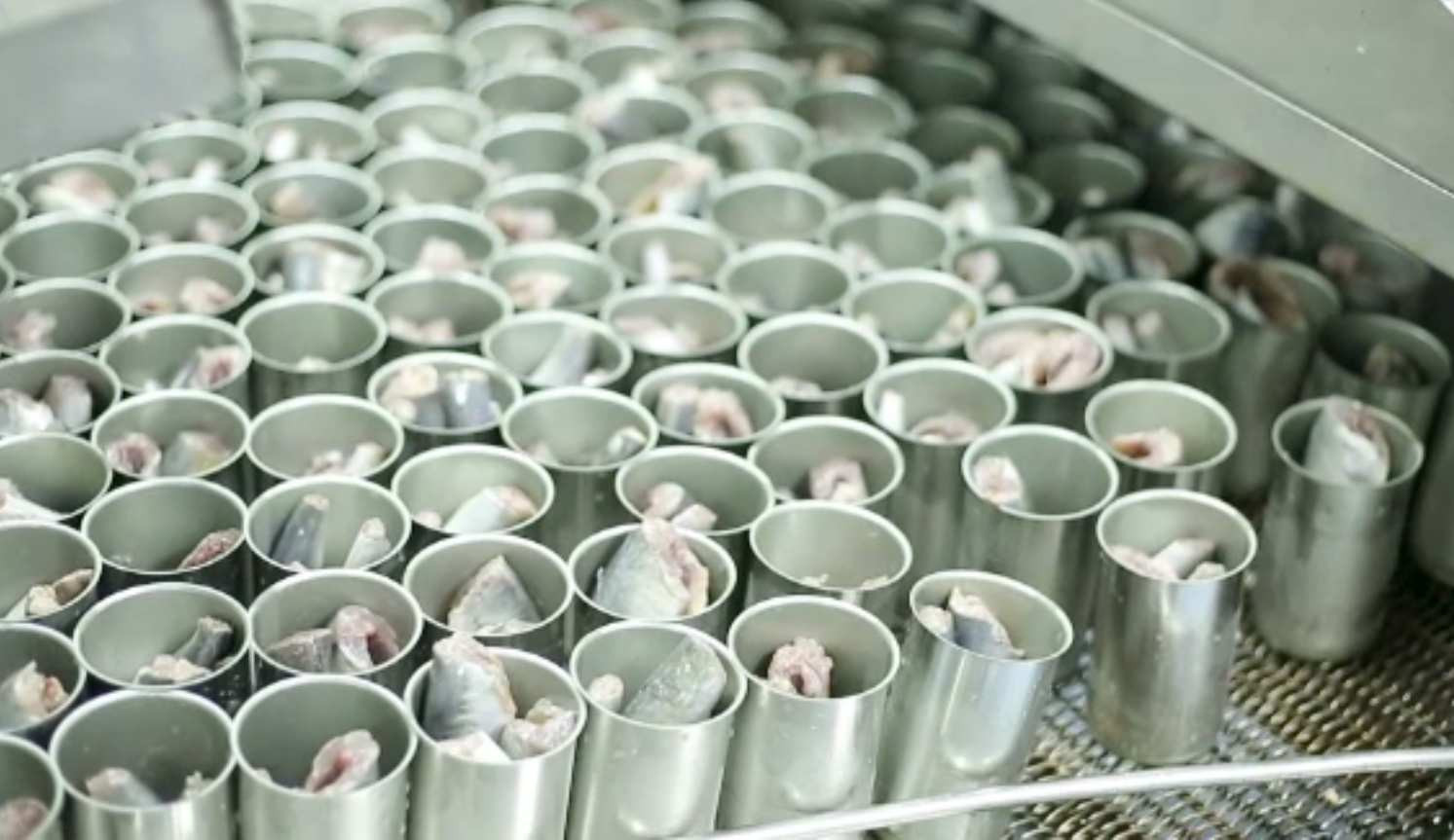 Sushi făcut în laborator, printat 3D. Mâncarea viitorului ajunge și în farfuriile noastre