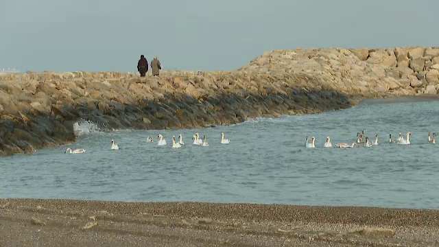 Spectacol unic la malul Mării Negre. Momente uluitoare surprinse la Eforie și Constanța